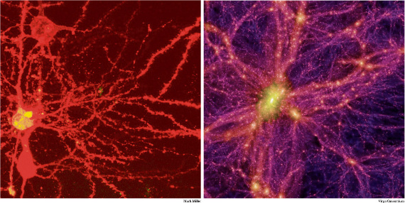 srovnání: neuron a temná energie